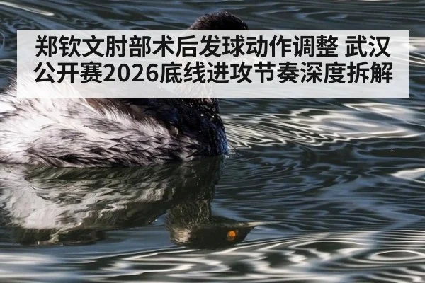 郑钦文肘部术后发球动作调整 武汉公开赛2026底线进攻节奏深度拆解
